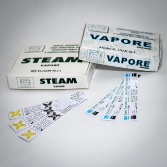 Інтегратори контролю парової стерилізації / Клас 5, № 250 (EC.STEAM 98.3-L)